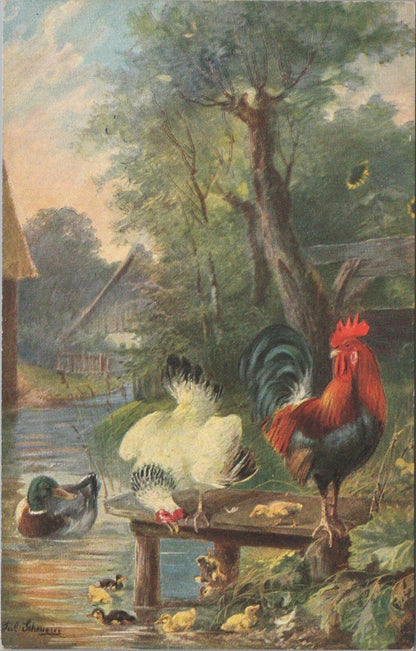 Animals Postcard: Farmyard Rooster Chickens Ducks Artist Julius Scheurer XT3176