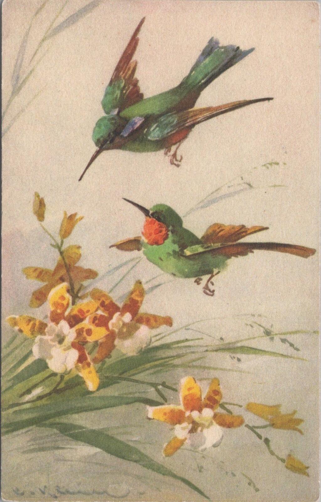 Animals Postcard: Hummingbirds Orchids Bird Art By Catharina Klein  XT3181