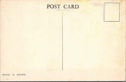 London Postcard: Derry Gardens Kensington Woodland Stream Bridge 1940s  XT3186