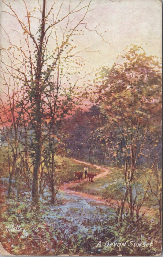 Devon Postcard: Devon Sunset Bluebell Wood Path GH Jenkins Oilette 1910s XT3192
