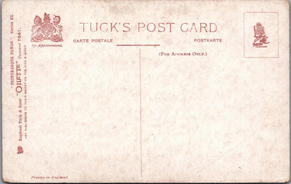 Devon Postcard: Devon Sunset Bluebell Wood Path GH Jenkins Oilette 1910s XT3192