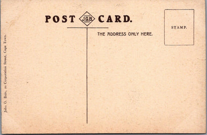 South Africa Postcard - Cape Town, Government Avenue   XT985