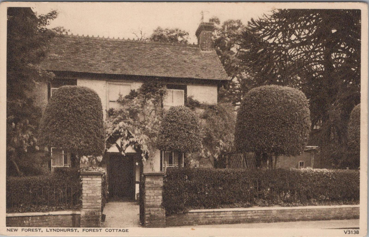 Hampshire Postcard: New Forest, Lyndhurst, Forest Cottage  XT1016