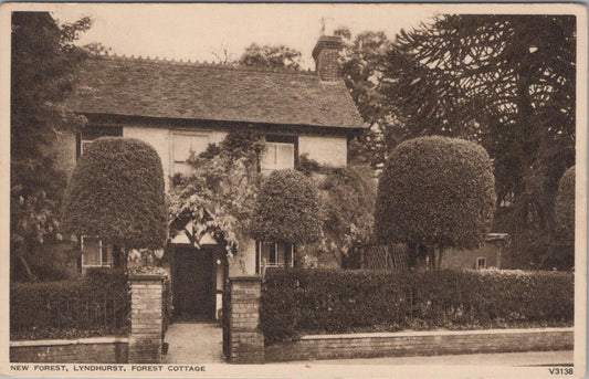 Hampshire Postcard: New Forest, Lyndhurst, Forest Cottage  XT1016