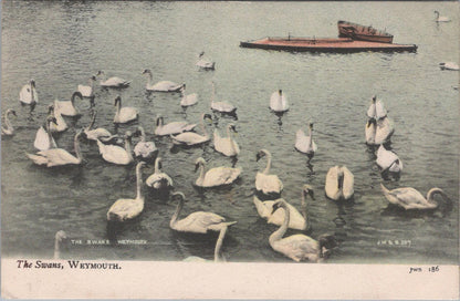 Dorset Postcard: Birds, The Swans, Weymouth  XT1029