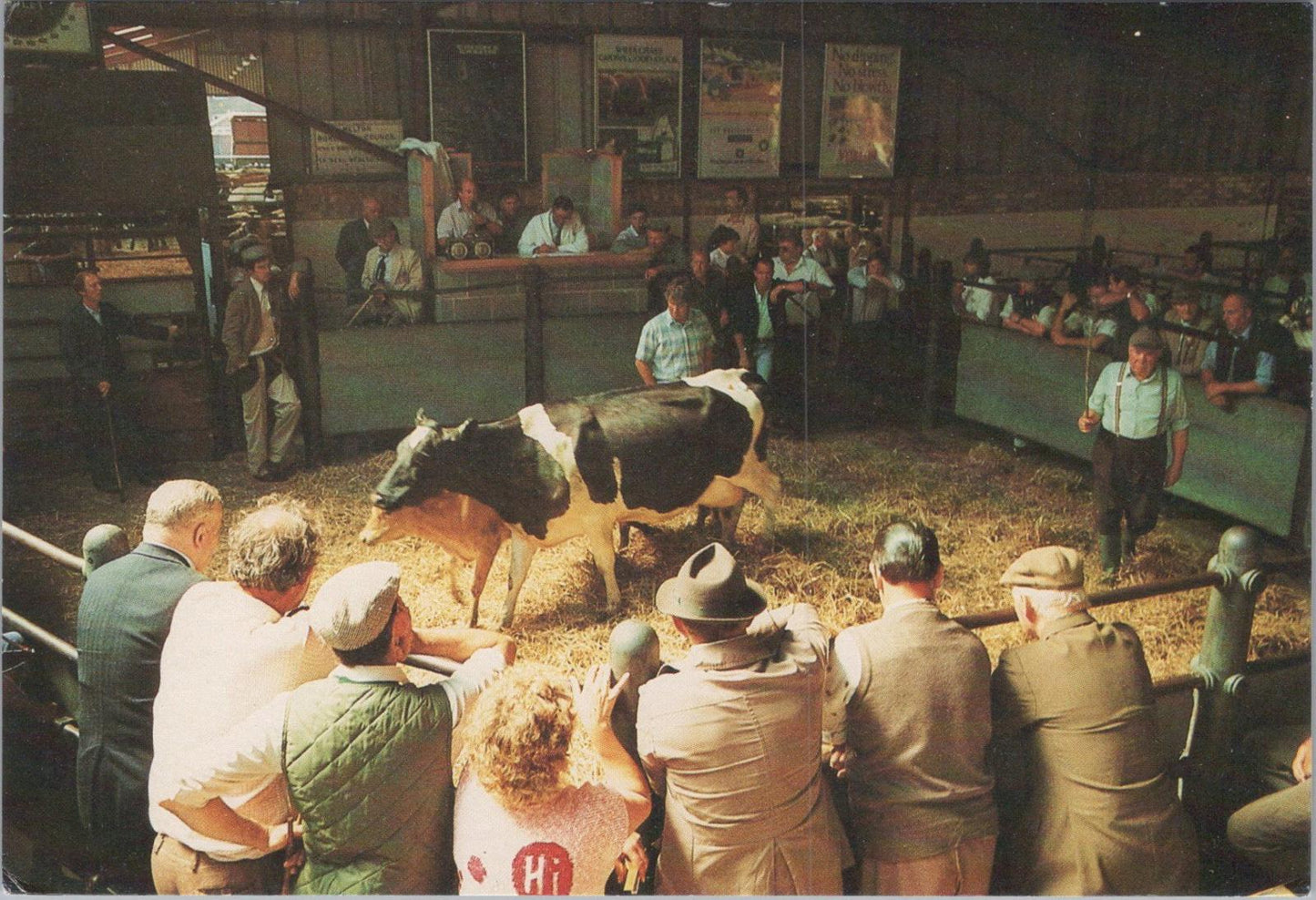 Leicestershire Postcard: Melton Mowbray Cattle Market  XT1644