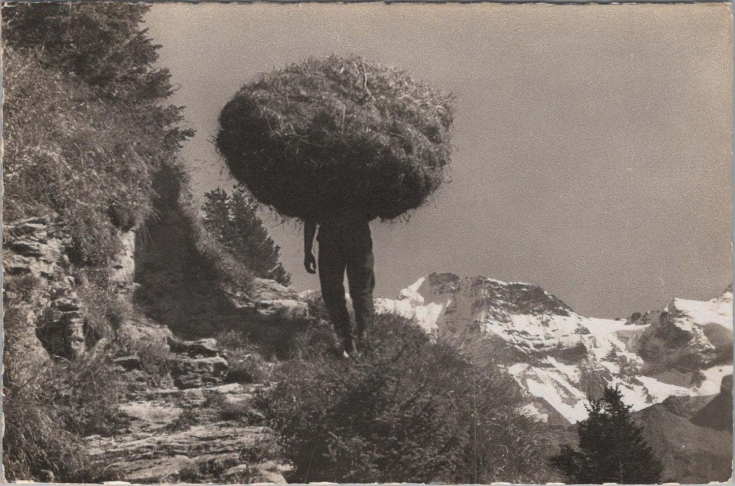Austria Postcard - Mountain Farmer Carrying Hay in St Anton am Arlberg XT1473