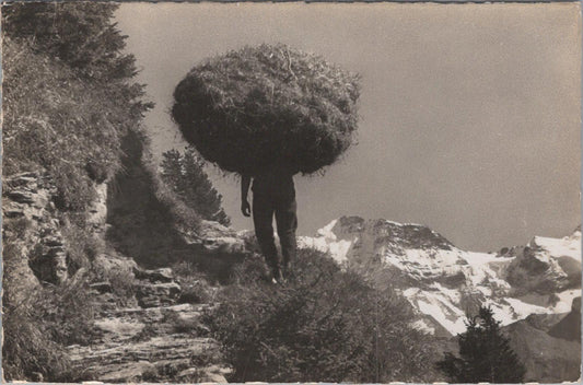 Austria Postcard - Mountain Farmer Carrying Hay in St Anton am Arlberg XT1473