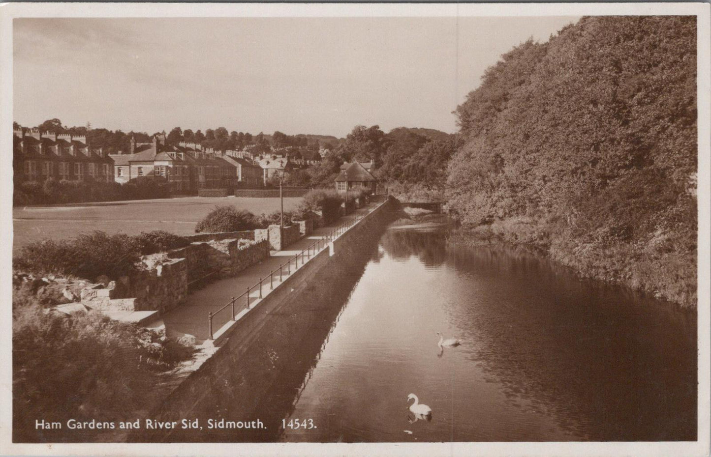 Devon Postcard: Ham Gardens and River Sid, Sidmouth XT1499