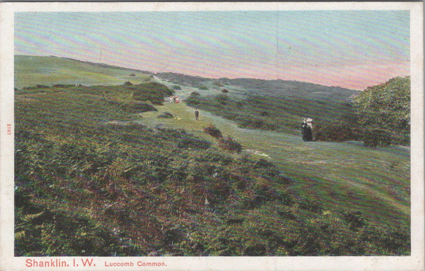 Isle Of Wight Postcard: Shanklin Luccomb Common Coastal Path Early 1900s XT1500