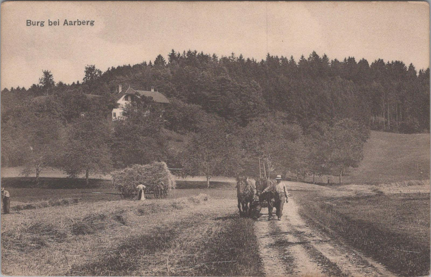 Switzerland Postcard: Burg Bei Aarberg Haymaking Horse And Cart   XT1524