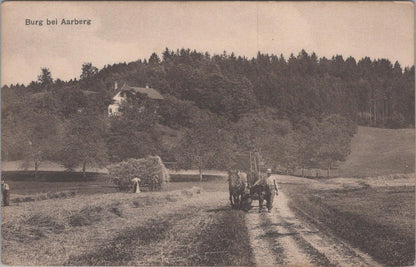 Switzerland Postcard: Burg Bei Aarberg Haymaking Horse And Cart   XT1524