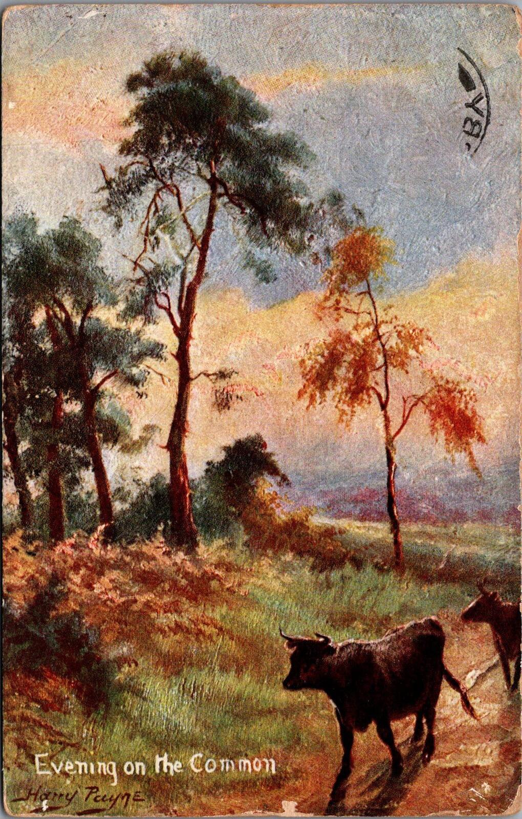 Hannah: at Mrs Shackletons, St. Wilfreds, Barrow on Trent, Derbyshire, 1909 HX56
