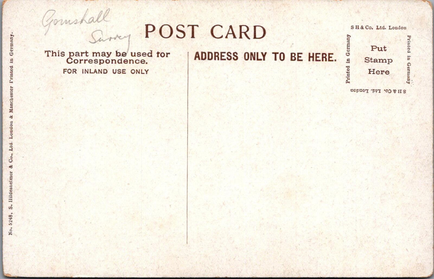 Surrey Postcard: Shere Village Silent Pool Mill Pond Artist L Staples  XT2959