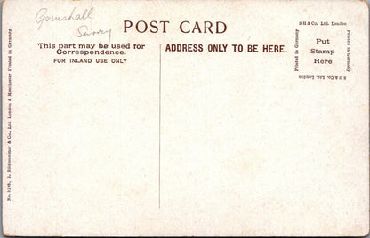 Surrey Postcard: Shere Village Silent Pool Mill Pond Artist L Staples  XT2959
