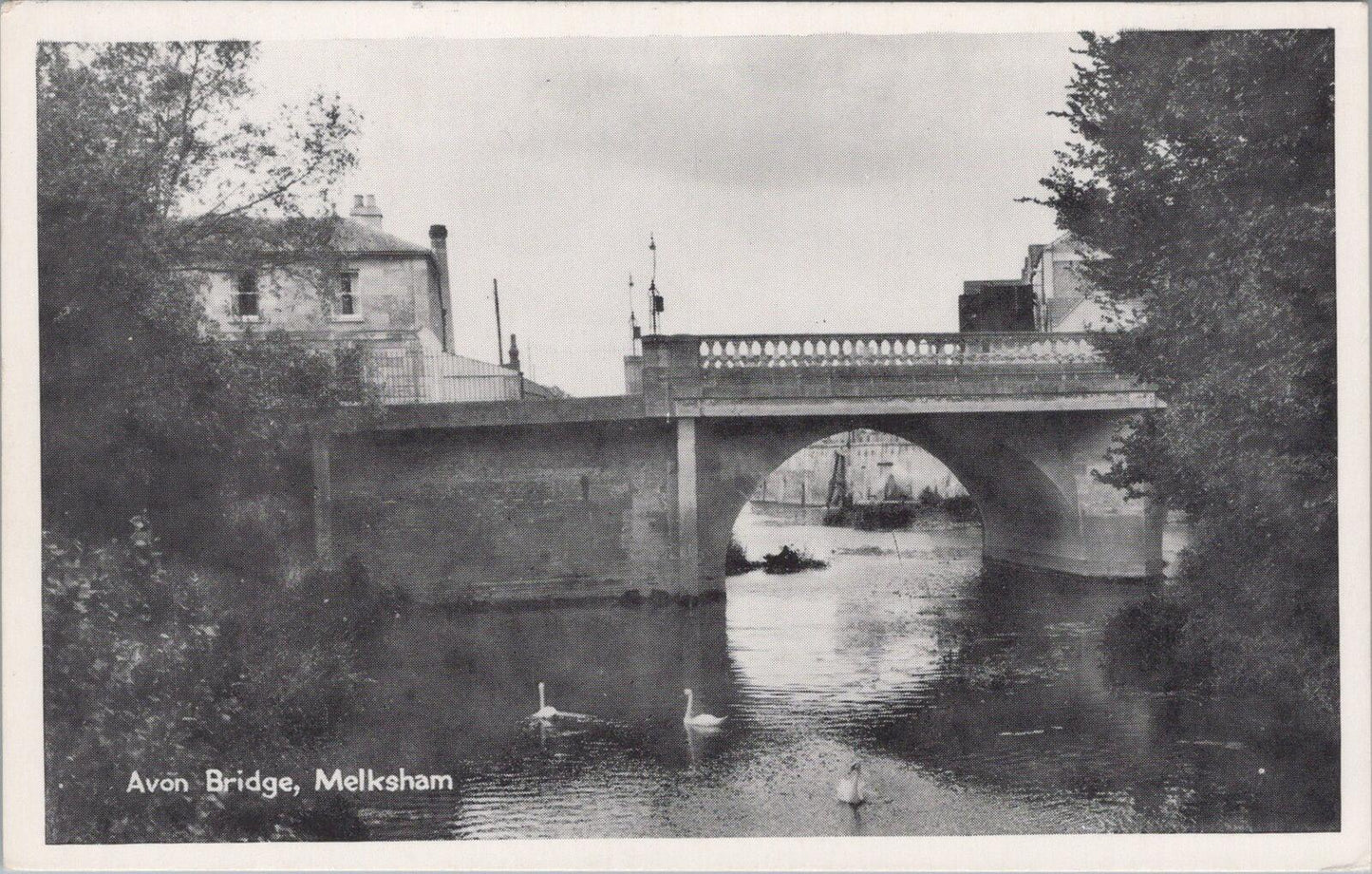 Wiltshire Postcard: Melksham Avon Bridge River Swans TVAP 1950s XT2965