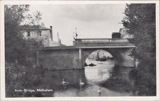 Wiltshire Postcard: Melksham Avon Bridge River Swans TVAP 1950s XT2965