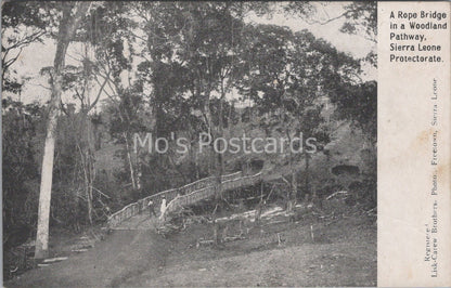 Sierra Leone Postcard - A Rope Bridge In a Woodland Pathway  MB1103