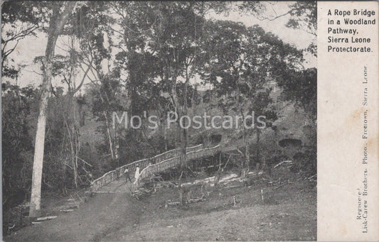 Sierra Leone Postcard - A Rope Bridge In a Woodland Pathway  MB1103