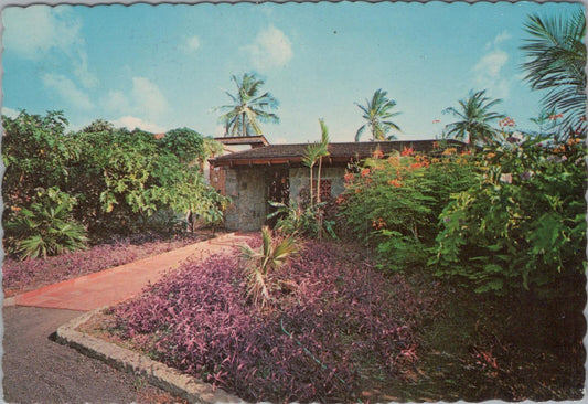Grenada Postcard: Calabash Hotel Beautiful Tropical Vegetation 1966   XT2739