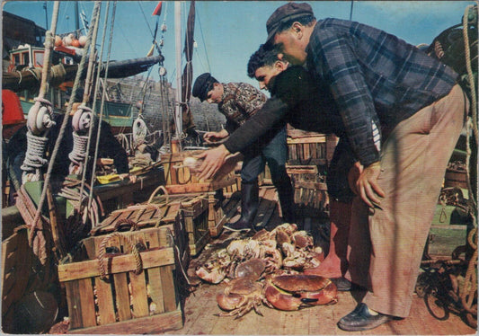 France Postcard: Retour De Peche Fishing Boat Return Coastal Port Chrome XT2749