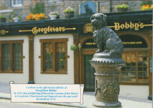 Scotland Postcard: Edinburgh Greyfriars Bobby Statue Faithful Dog Chrome XT2755
