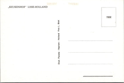 Netherlands Postcard: Keukenhof Gardens Lisse Flower Tulips Park Chrome XT2780