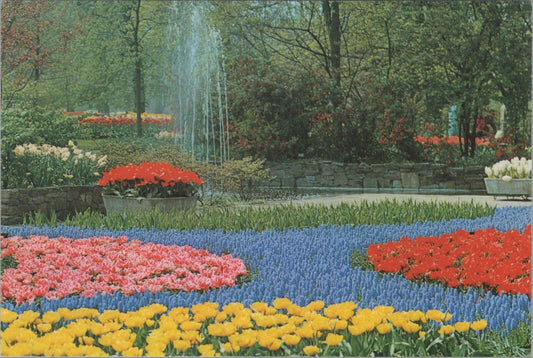 Netherlands Postcard: Keukenhof Gardens Lisse Flower Tulips Park Chrome XT2781