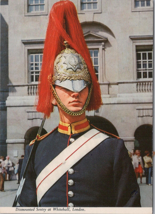 London Postcard:Dismounted Sentry Blues and Royals Horse Guards Whitehall XT2782