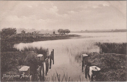 Surrey Postcard - Frensham Pond   XT610