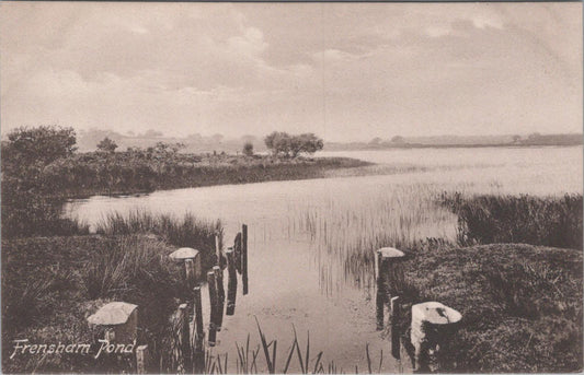 Surrey Postcard - Frensham Pond   XT610