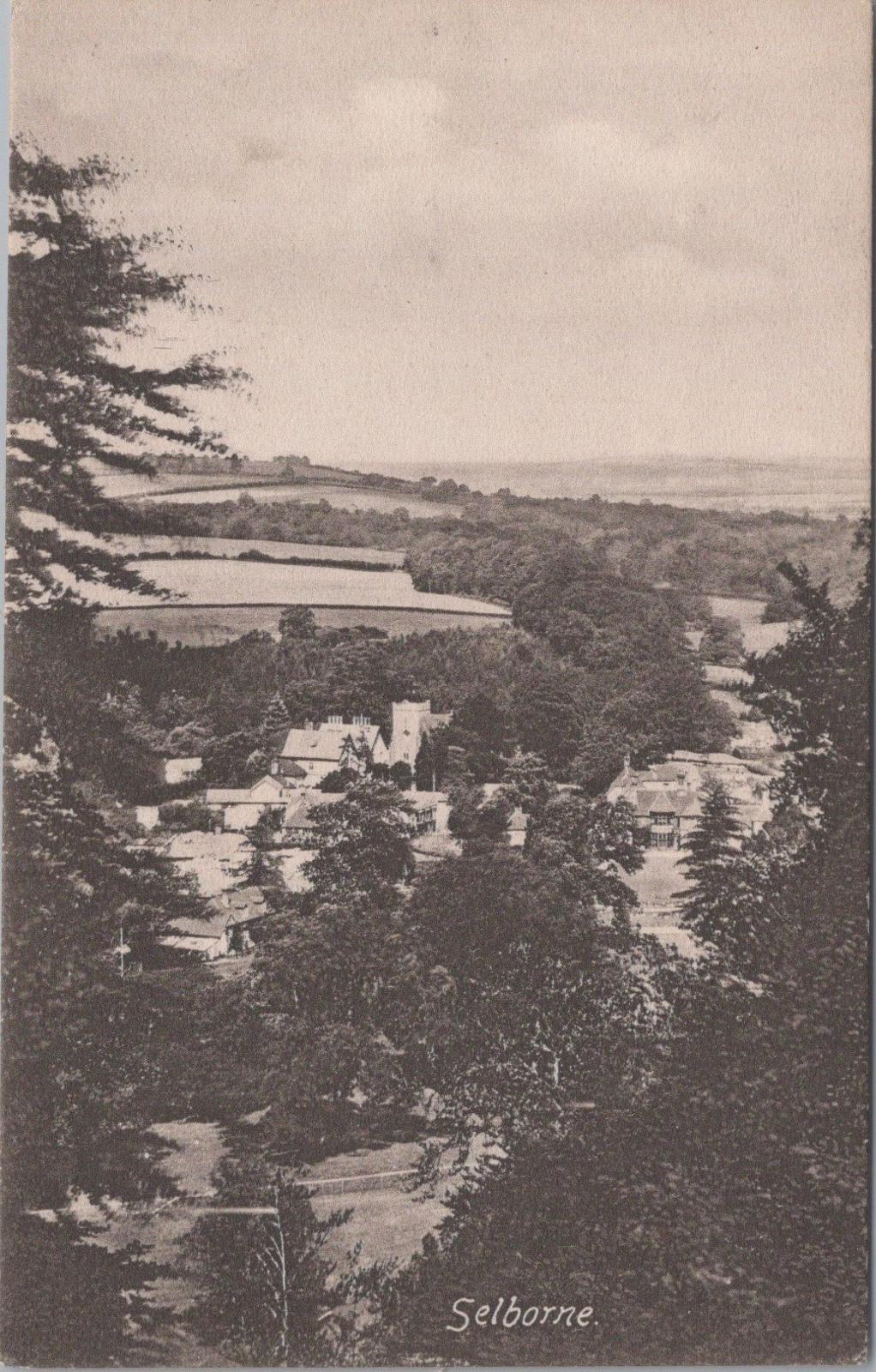 Hampshire Postcard - View of Selborne Village   XT611