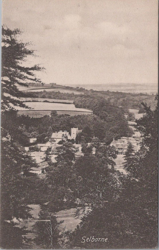 Hampshire Postcard - View of Selborne Village   XT611