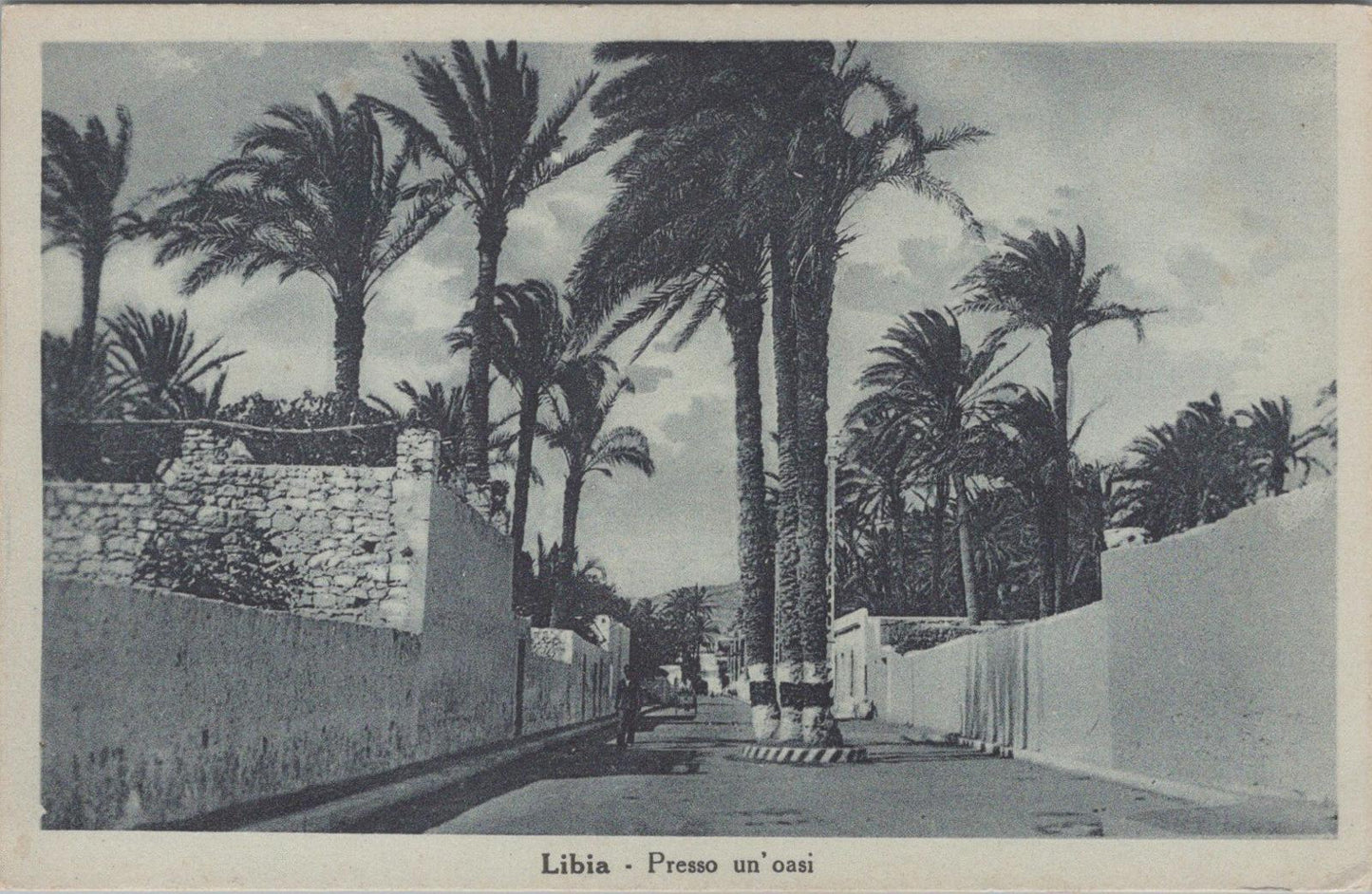 Libya Postcard - Libia - Presso un'oasi, Libia - Libya - Near an oasis  XT629