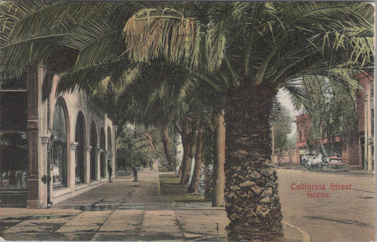 America Postcard - California Street Scene  XT701