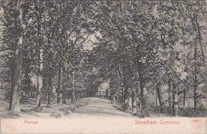 London Postcard - The Avenue, Streatham Common   XT705