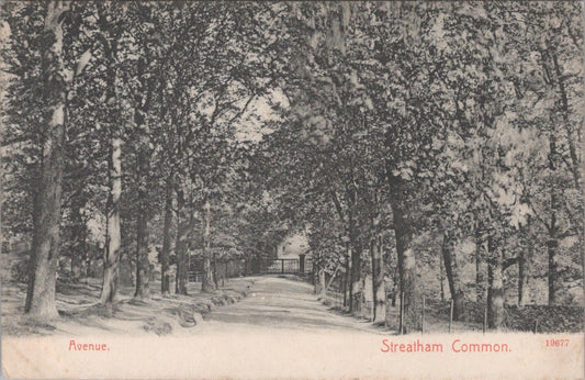 London Postcard - The Avenue, Streatham Common   XT705