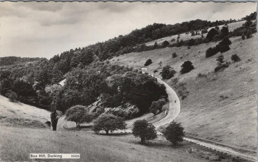 Surrey Postcard - Box Hill, Dorking   XT735
