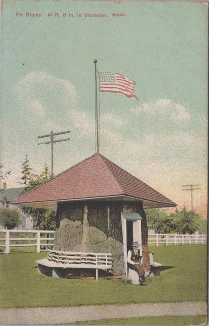 America Postcard - Fir Stump Cabin, Clark Park, Everett, Washington  XT738