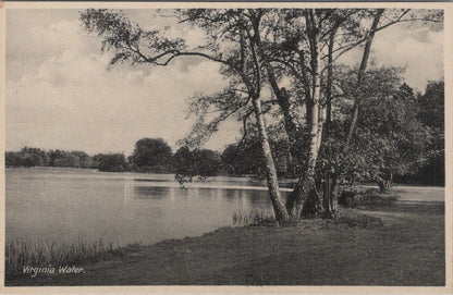 Surrey Postcard - Virginia Water, Runnymede  XT762