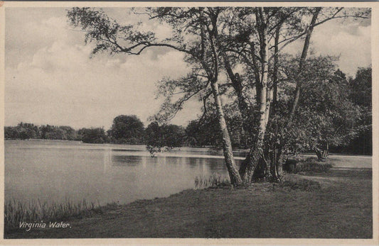 Surrey Postcard - Virginia Water, Runnymede  XT762