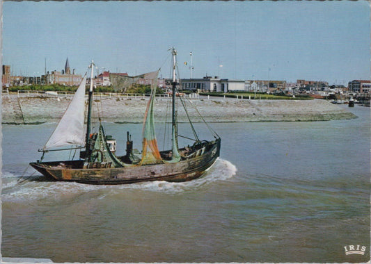Belgium Postcard - Zeebrugge, Retour de Pêche / Terug van visvangst  XT1211