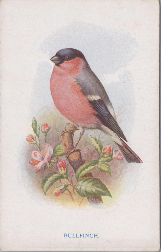 Illustration of a bullfinch bird on a branch with flowers, on a light blue background.