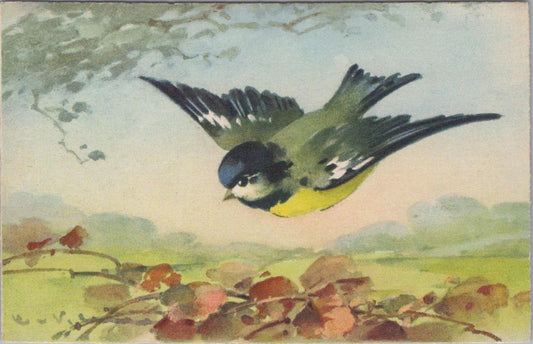 Animals Art Postcard - Birds, Great Tit (Parus major) in Flight  XT1253