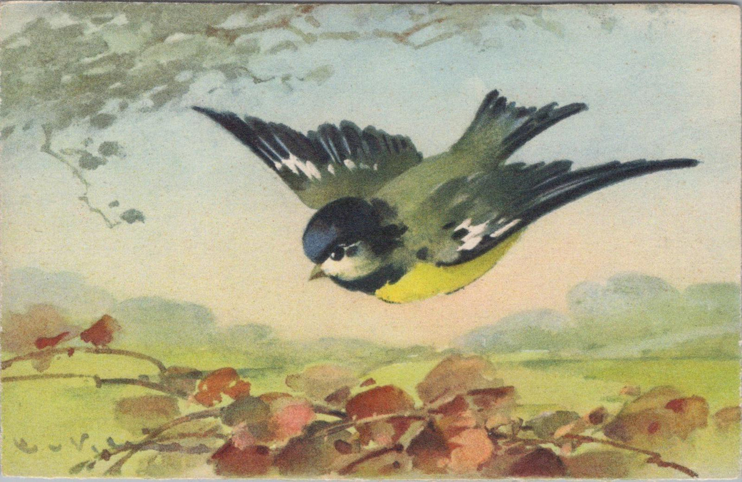 Animals Art Postcard - Birds, Great Tit (Parus major) in Flight  XT1254