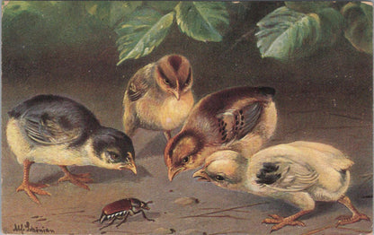 Animals Postcard - Birds, Four Baby Chickens and a Beetle  XT1266