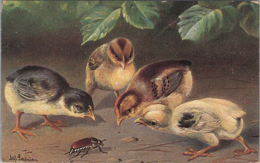 Animals Postcard - Birds, Four Baby Chickens and a Beetle  XT1266