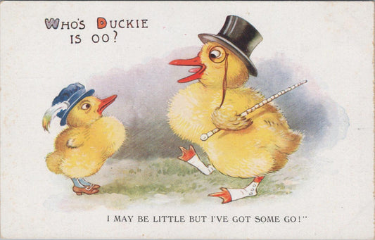 Animals Postcard - Birds, Anthropomorphic illustration of Two Ducklings  XT1268