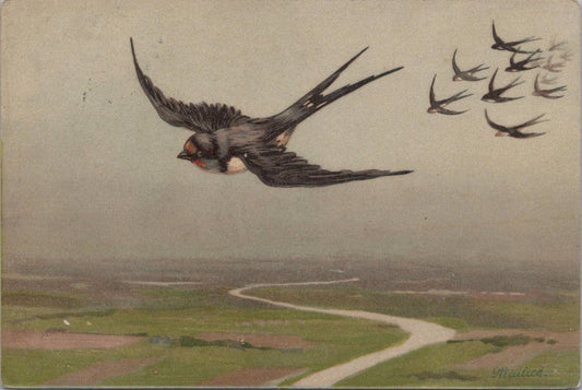 Animals Postcard - Birds, Swallows in Flight, Artist Alfred Moritz Mailick XT1271