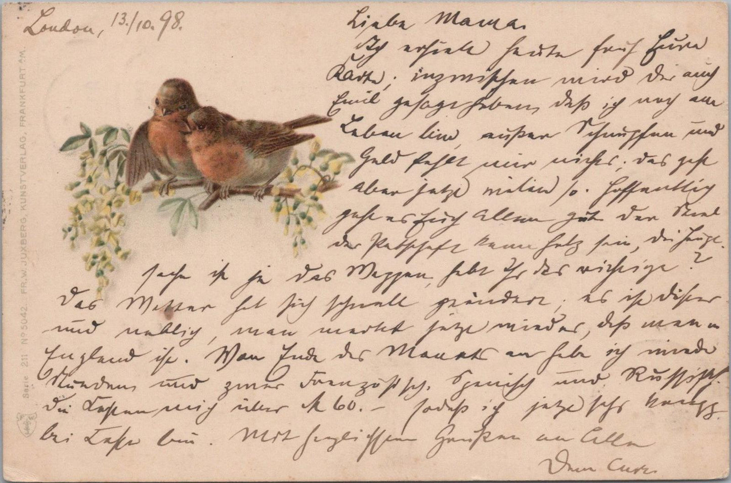 Animals Postcard - Birds, Two European Robins Perched on a Branch   XT1272